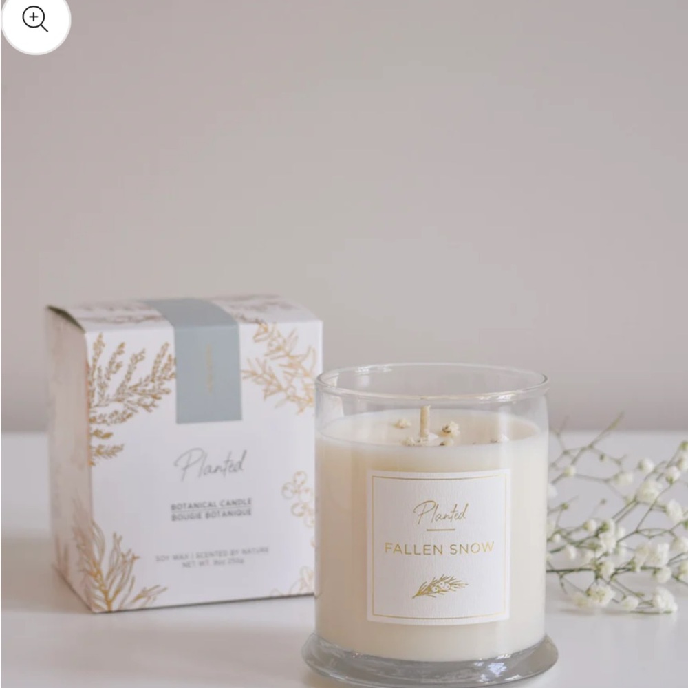 Jilly Box x Planted Fallen Snow soy candle